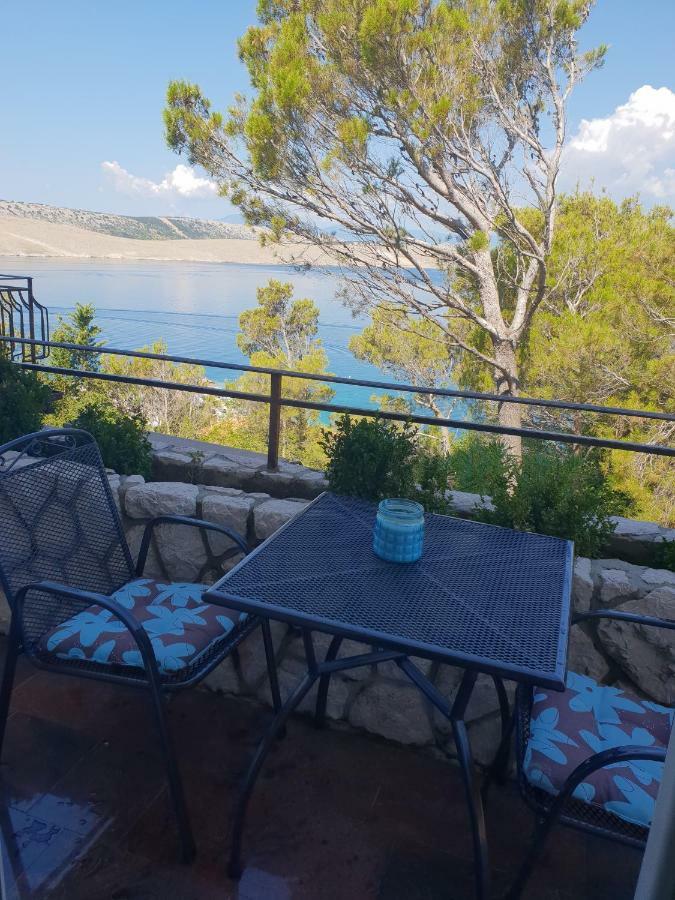 Apartments Villa Antonia Jadranovo Dış mekan fotoğraf